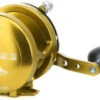 Avet HXJ 5/2 Two-Speed Lever Drag Casting Reel Gold -Daiwa Fishing Shop avet hxj 52 two speed lever drag casting reel ave 0095 1 96314.1650775742.386.513
