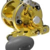 Avet HXW 5/2 Two-Speed Lever Drag Casting Reels Gold -Daiwa Fishing Shop avet hxw 52 two speed lever drag casting reels ave 0096 1 76868.1650775772.386.513