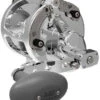Avet HXW 5/2 Two-Speed Lever Drag Casting Reels Silver -Daiwa Fishing Shop avet hxw 52 two speed lever drag casting reels ave 0096 2 02496.1650775774.386.513