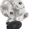 Avet JX 6.0 G2 1 Speed Reel - Silver (No Glide Plate) - L/H -Daiwa Fishing Shop avet jx 6 0 g2 lh si ngp reel 00553.1670274345.386.513