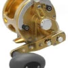 Avet JX G2 6/3 MC 2-Speed Reel Gold 1 Avet JX G2 6/3 MC 2-Speed Reel Gold -Daiwa Fishing Shop avet jx g2 6 3 mc 2 speed reel ave 0539 1 96213.1670274342.386.513