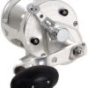 Avet LX 6.0 G2 1 Speed Reel - Silver (No Glide Plate) - L/H 2 Avet LX 6.0 G2 1 Speed Reel - Silver (No Glide Plate) - L/H -Daiwa Fishing Shop avet lx 6 0 g2 lh si ngp reel 61346.1651417651.386.513