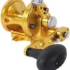 Avet SX 6/4 G2 NGP 2-Speed Reel - Gold (No Glide Plate) -Daiwa Fishing Shop avet sx 6 4 g2 rh gd ngp 2 speed reel no glide plate 79934.1673358617.386.513