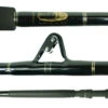 Blackfin Saltwater Strip Tip Fishing Rods -Daiwa Fishing Shop blackfin saltwater strip tip fishing rods 32867.1651075251