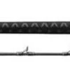 Daiwa Proteus Boat Conventional Rods -Daiwa Fishing Shop daiwa proteus boat conventional rods 19280.1650807705