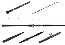 Jigging World Onyx Inshore Rods -Daiwa Fishing Shop jigging world onyx inshore rods 14529.1680784554