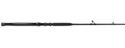 Jigging World Raptor Rods -Daiwa Fishing Shop jigging world raptor rods 55044.1680784559