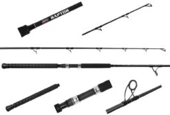 Jigging World Raptor Rods -Daiwa Fishing Shop jigging world raptor rods 91081.1680784559