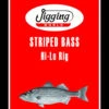 Jigging World Striped Bass Hi-Lo Inline Circle Hook Rigs -Daiwa Fishing Shop jigging world striped bass hi lo inline circle hook rigs 69405.1656652470